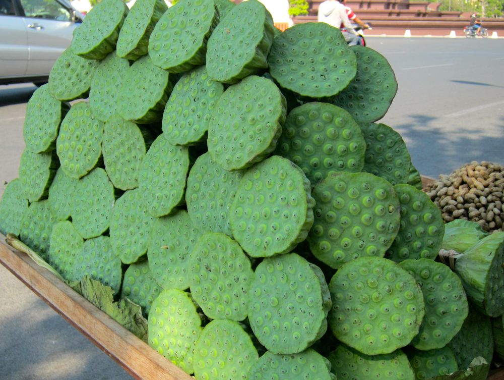 Lotus Seeds: Favourite Snack in Cambodia