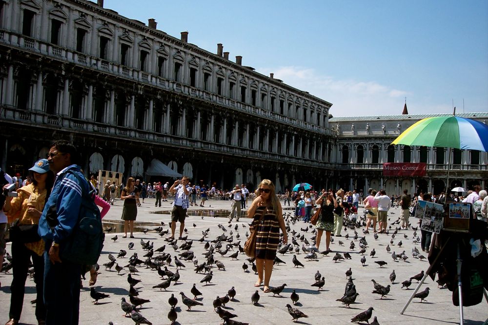 The St. Mark's Square