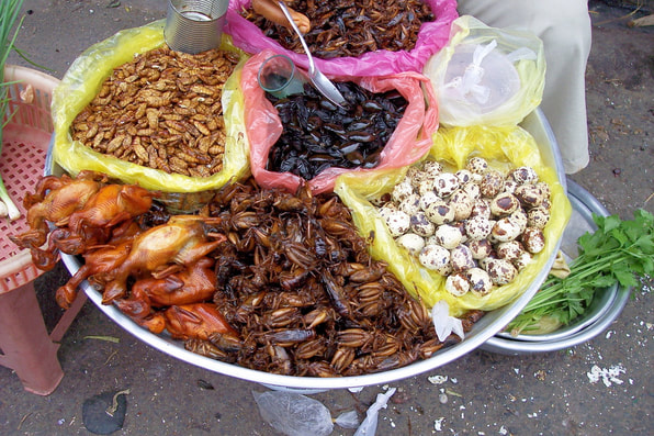 Insects and Worms: Delicacies in Cambodia