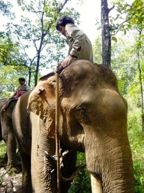 Elephant Trek in Mondulkiri Cambodia