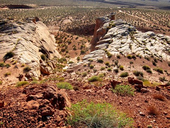 Navajo Land in Arizona