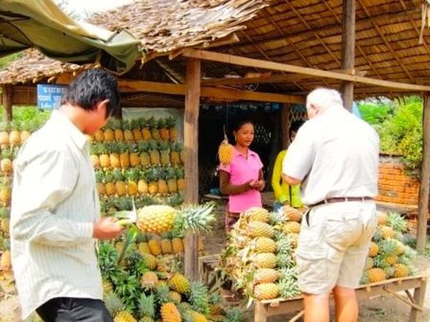 Fruit Stall on the Road to Mondulkiri