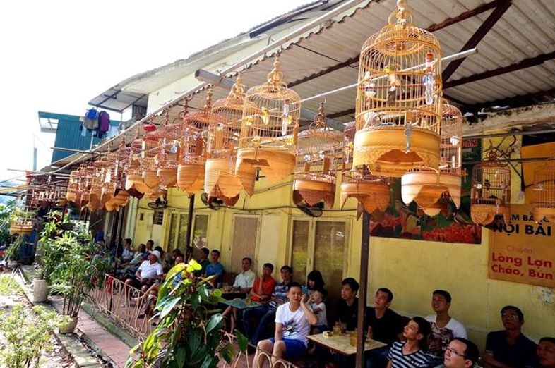Songbird Cafe in Hanoi