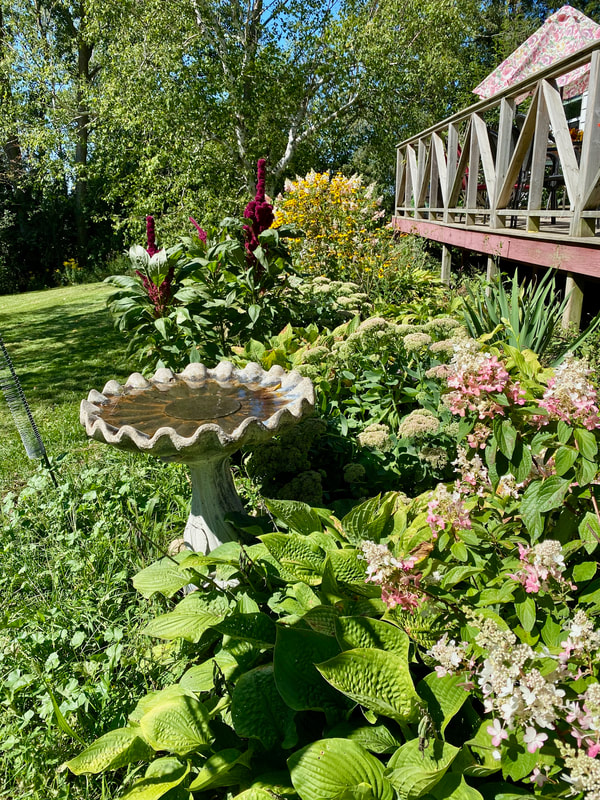 Garden in Ontario Canada